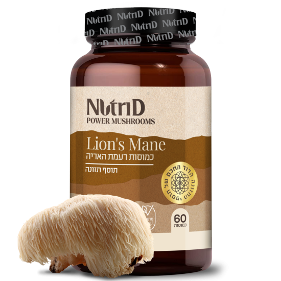 פטריית רעמת האריה | הריסיום